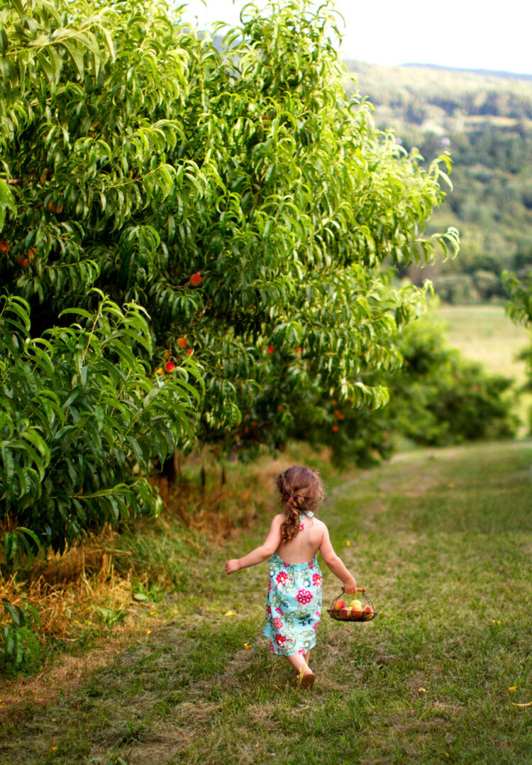 beatrice peltre feet 1