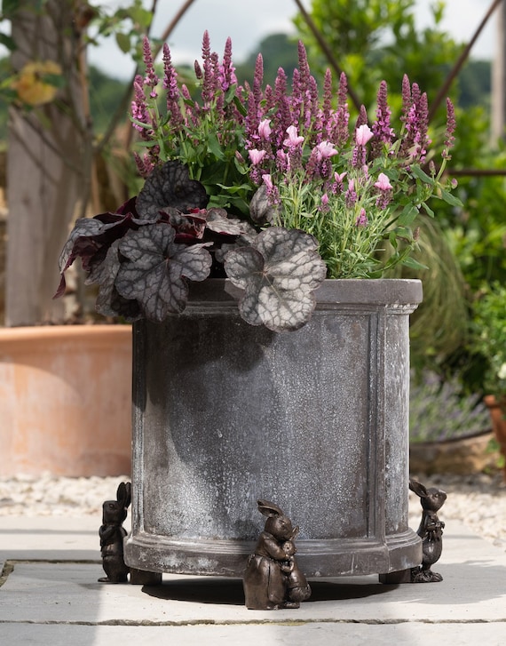 beatrix potter feet 3