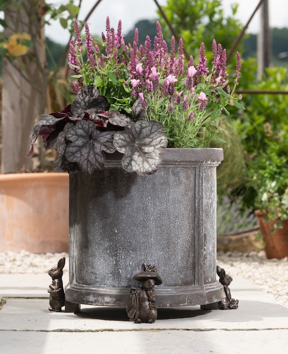 beatrix potter feet 5