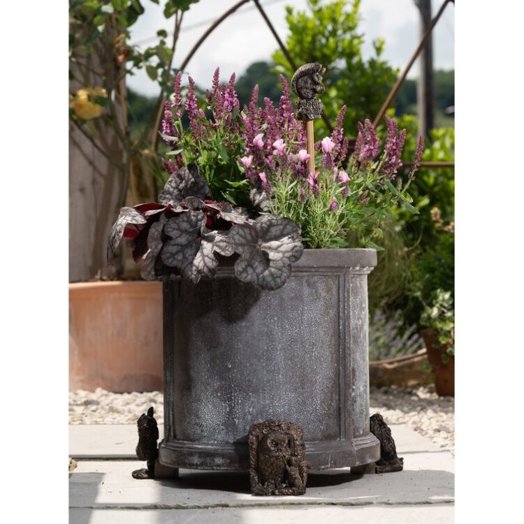 beatrix potter feet 6