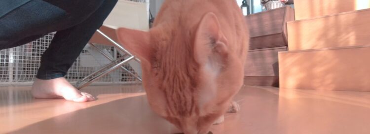 becky blow feet scaled