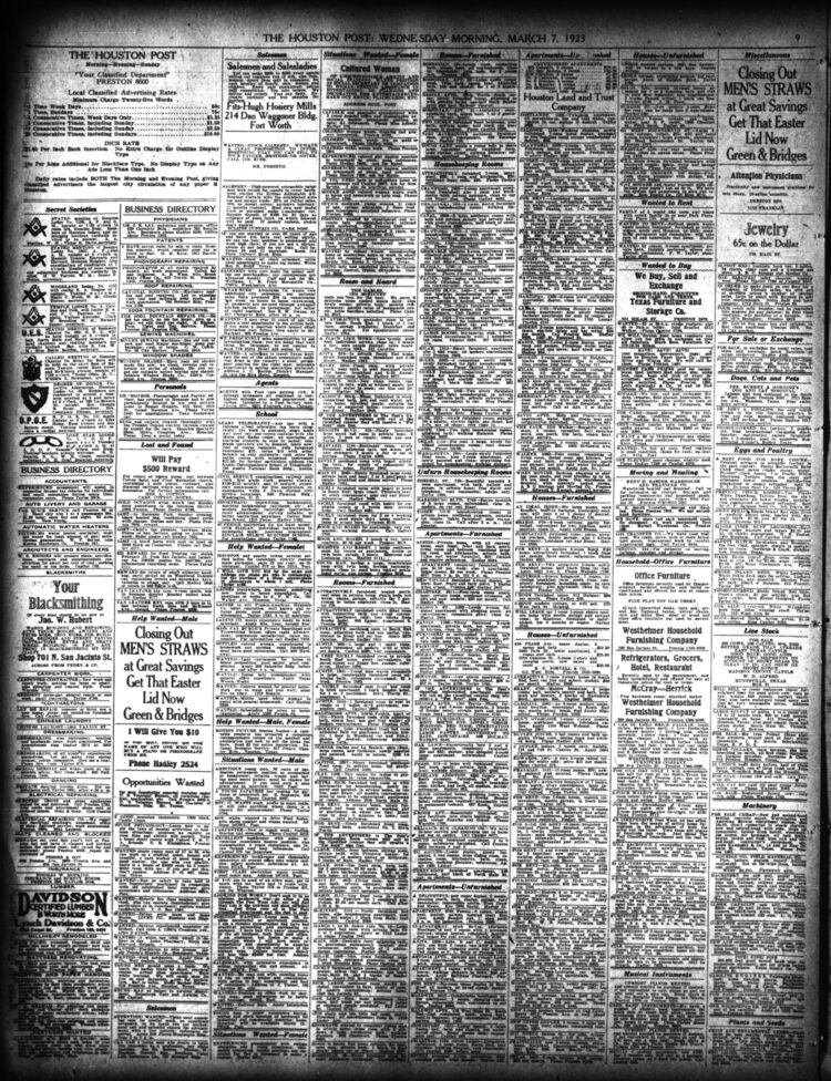 bee viona tan feet 6