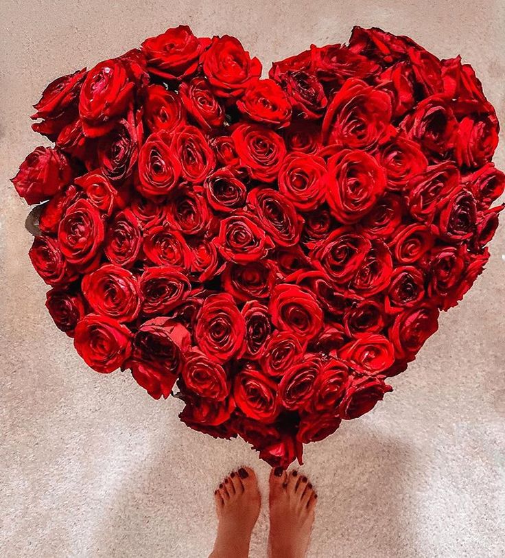 bella potemkina feet 6