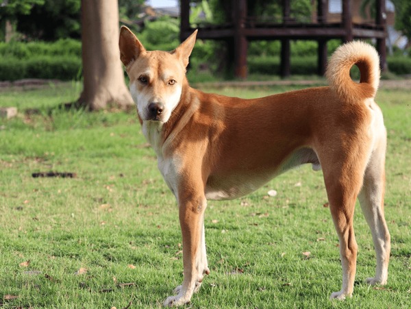 bente fokkens feet 6