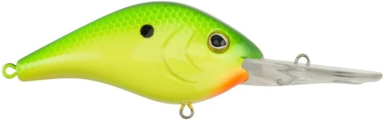 berkley homer feet 6