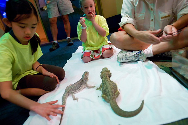 bethany latham feet 2