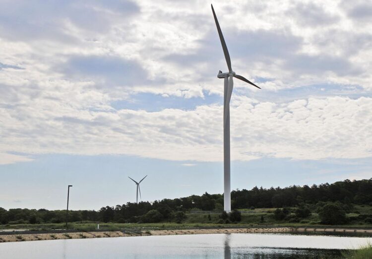 betsy windmill feet 5