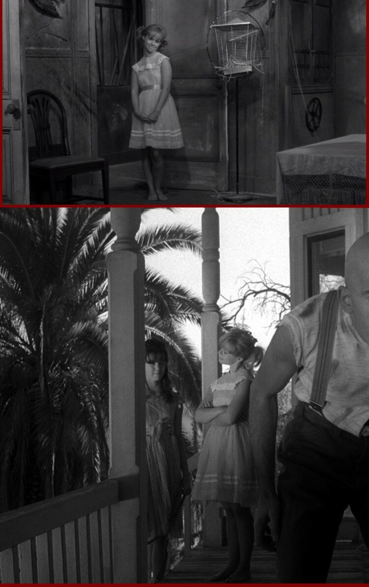 beverly washburn feet 3