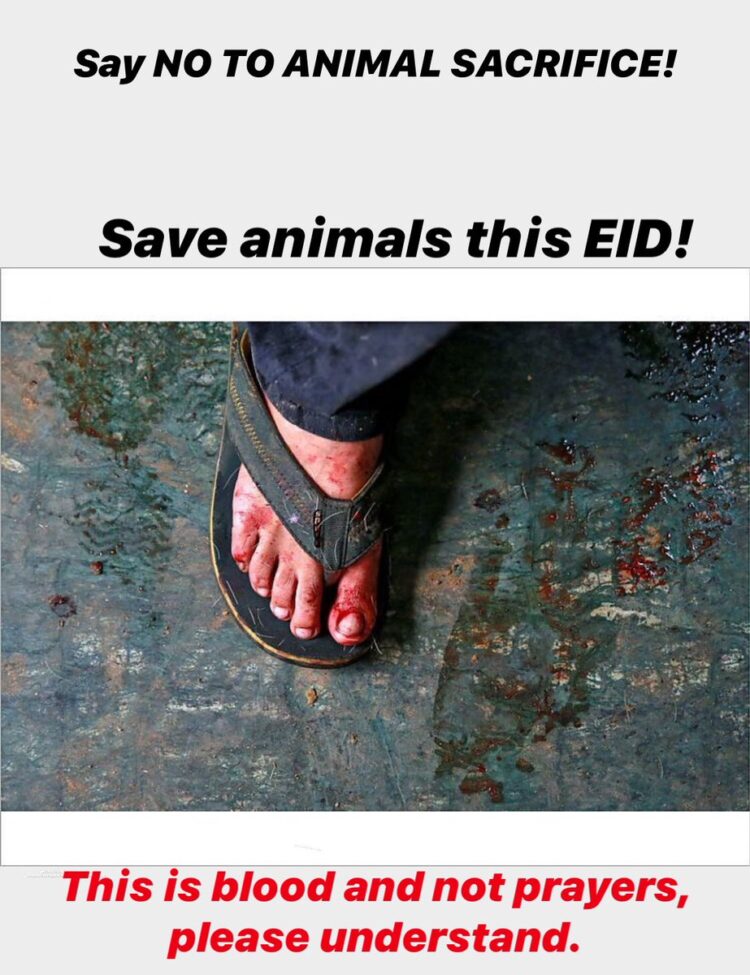 bhargsetu sharma feet 3