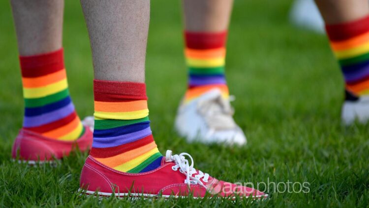 bianca colins feet 6