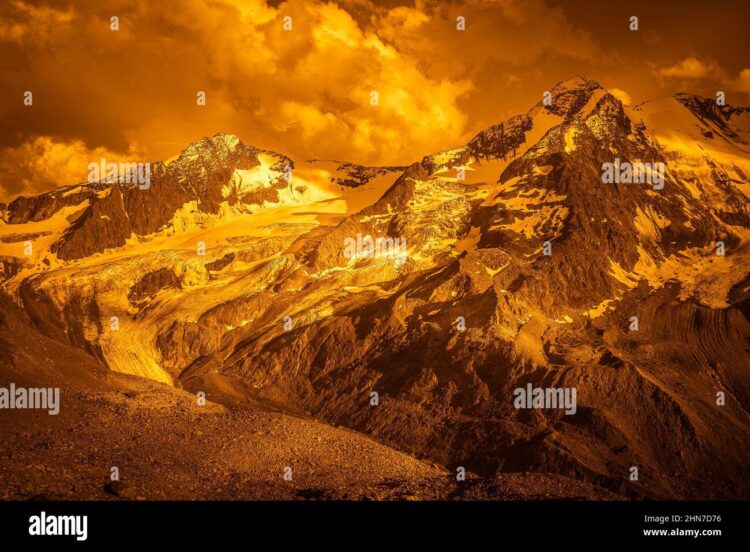 bianca golden feet 2