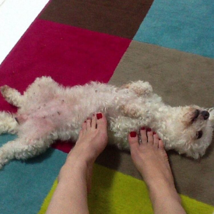 bianca marques feet 1