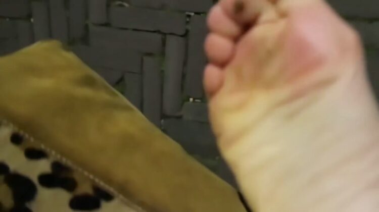 bibi breijman feet 1