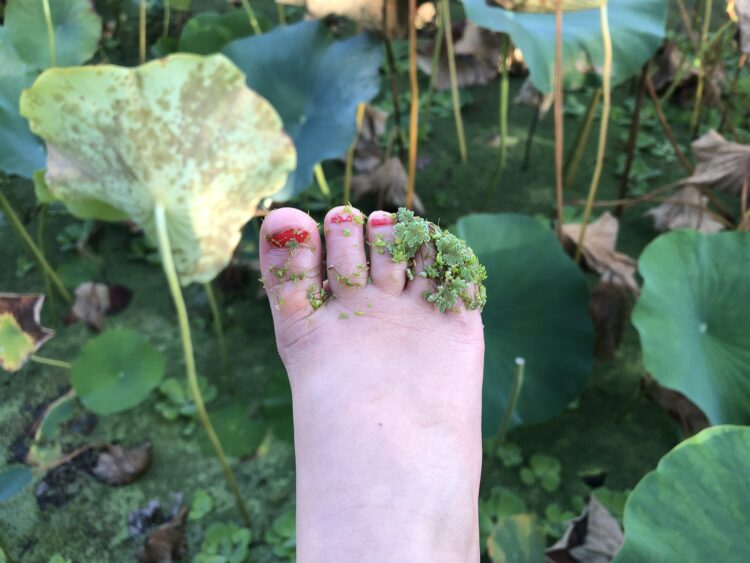 binki shapiro feet 2