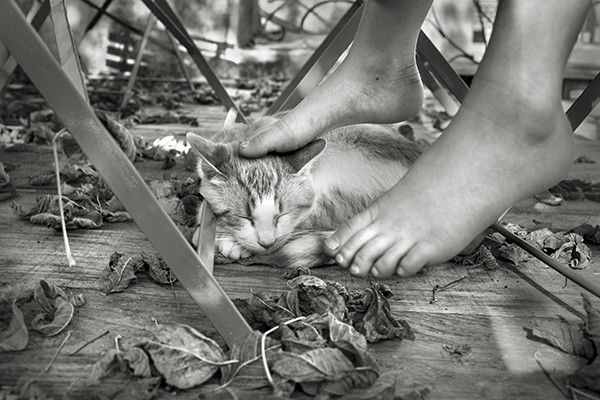 birgit stauch feet 5