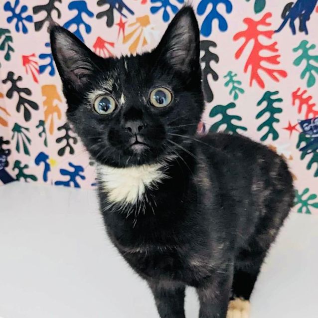 black eyed ginger feet 4