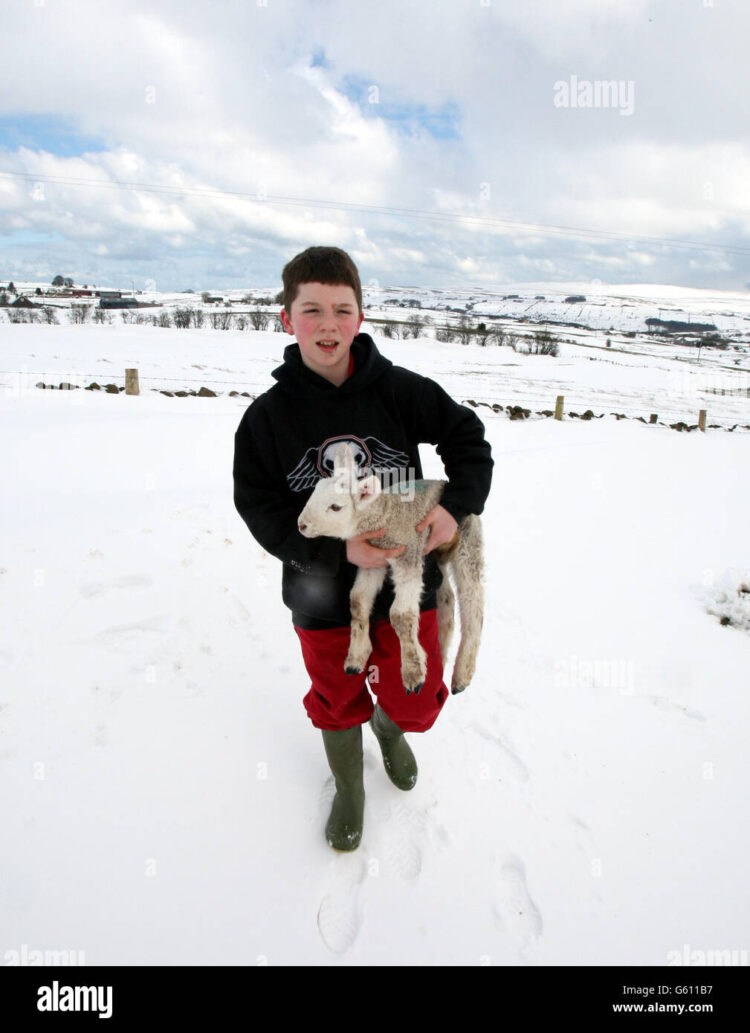blake gifford feet 6