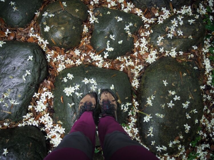 blossom rock feet 1