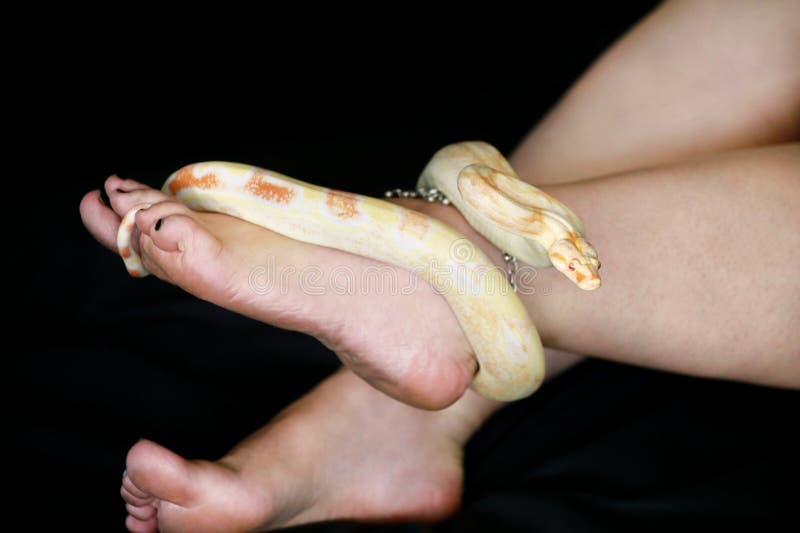 boa feet 6