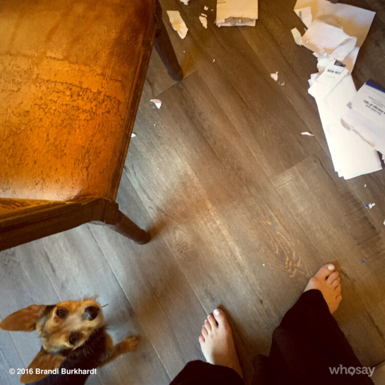 brandi burkhardt feet 1