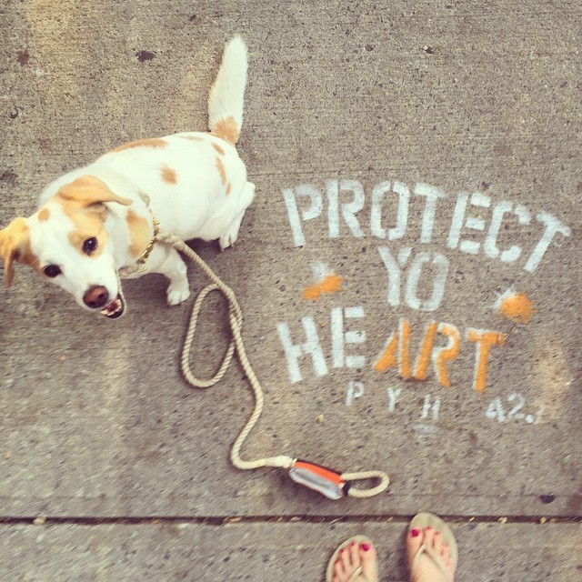 brandi nicole feet 3