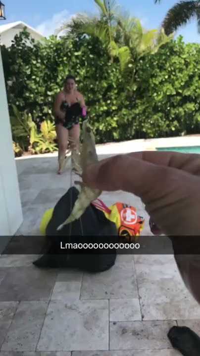 brandi snyder feet 4