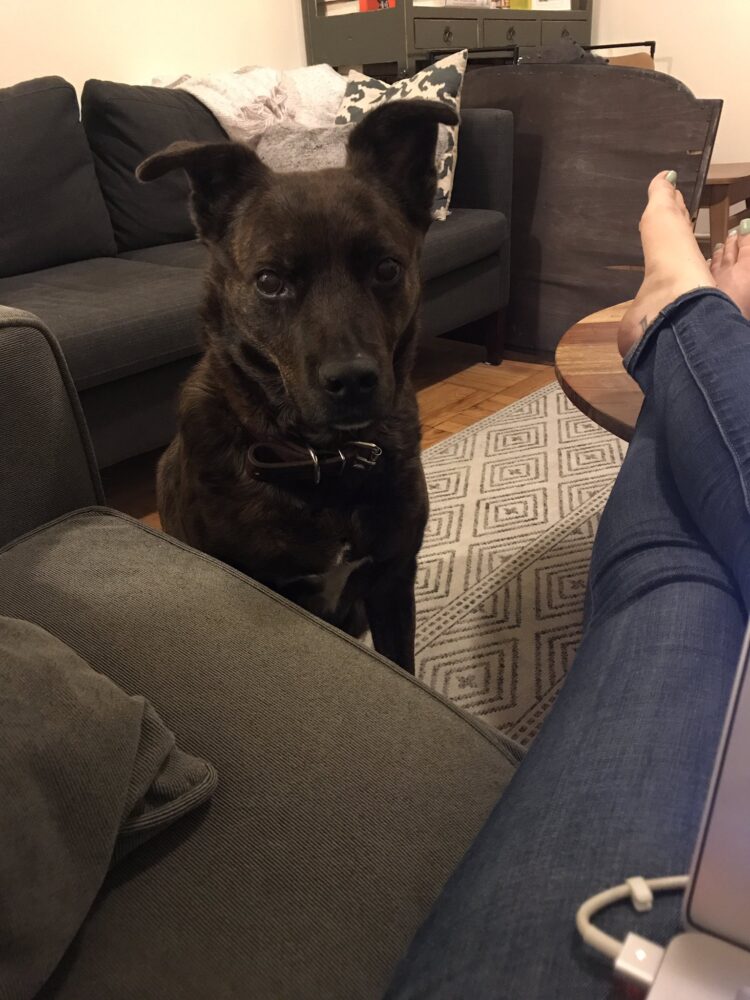 brandy jensen feet 2