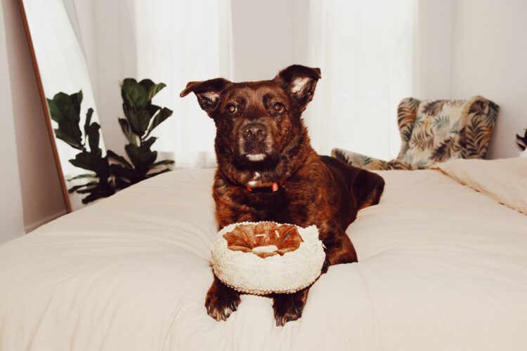 brandy jensen feet 5 scaled