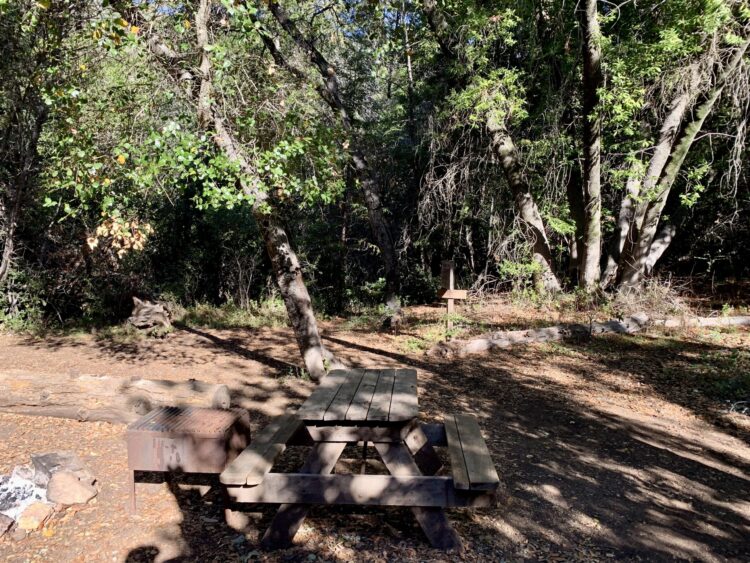 brea cruickshanks feet scaled