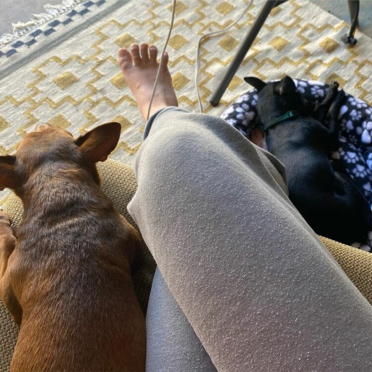 bree williamson feet 4