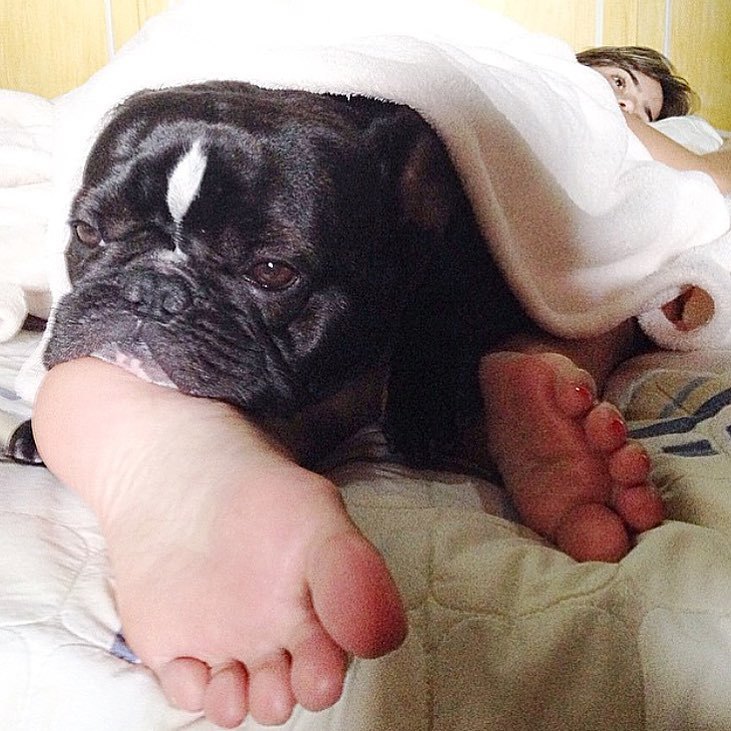 brendha haddad feet 6