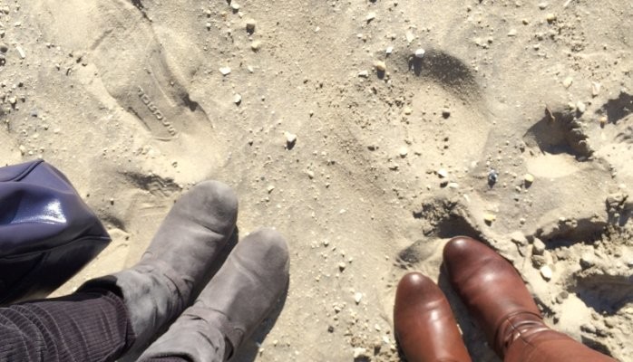 brenna alexander feet 4