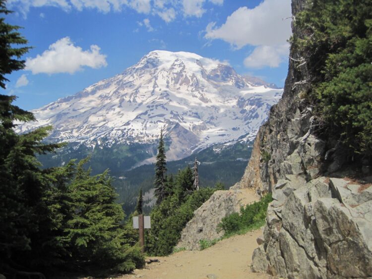 brenna nickels feet 3 scaled