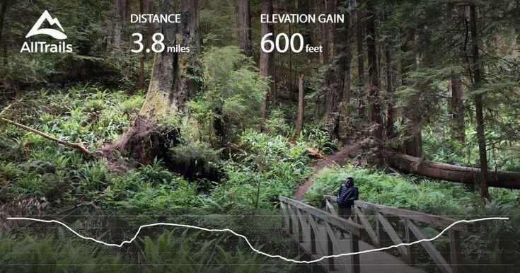 brenna nickels feet 4