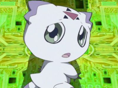 brianne siddall feet 2