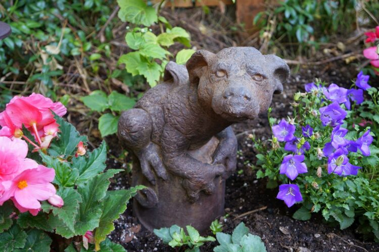 bridget beth collins feet 6