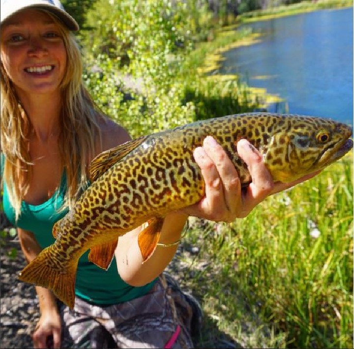 bridget fabel feet 2