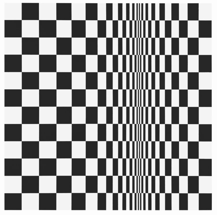 bridget riley feet 5