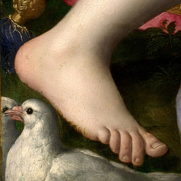 bridgette dunning feet 6