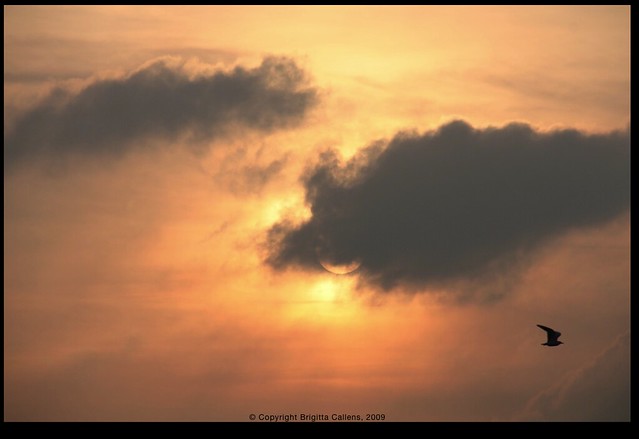 brigitta callens feet 6