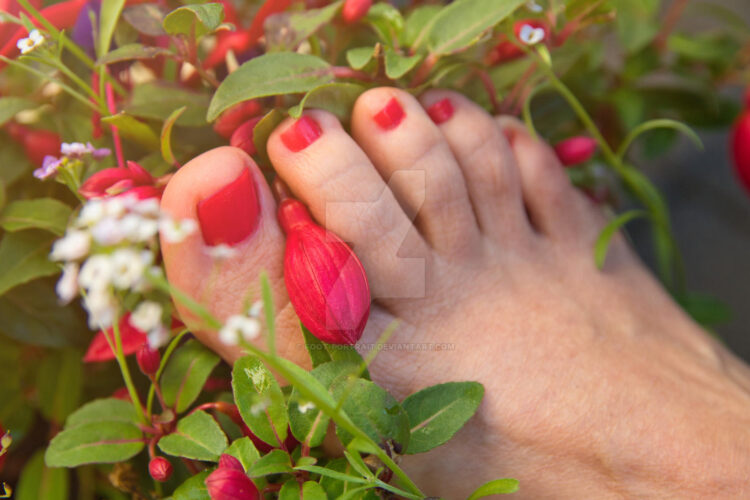 brigitte navarrete feet 2