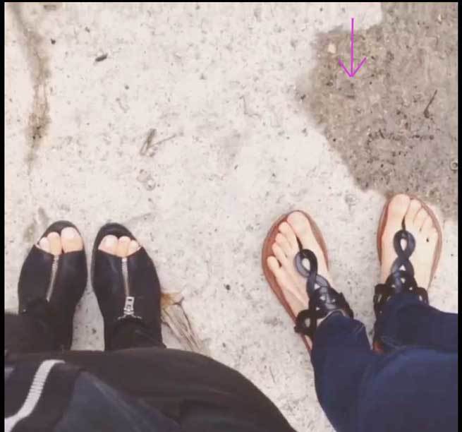 brina palencia feet 1