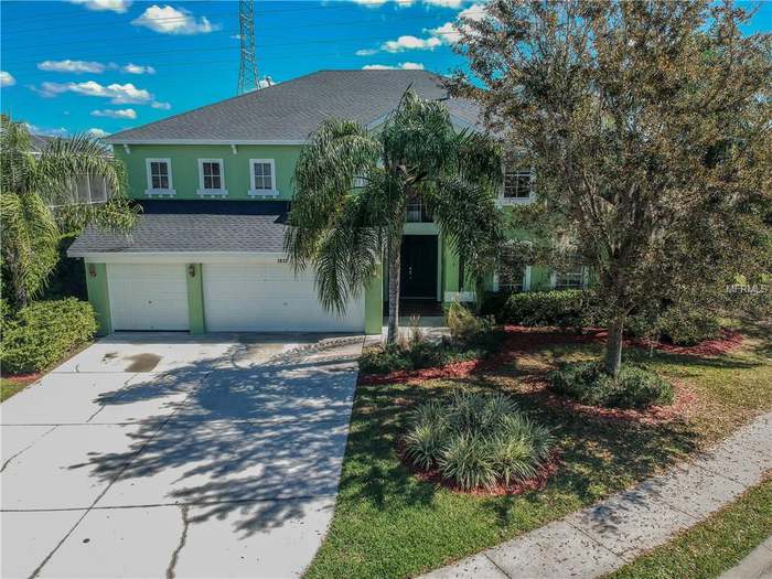 brinley nielson feet 6