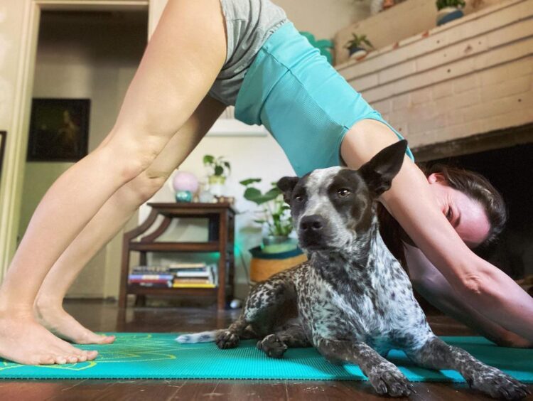 brittany curran feet 4