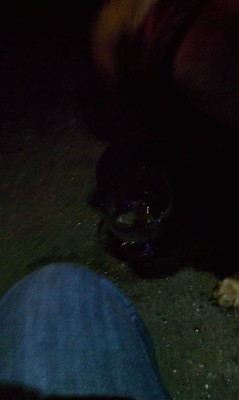 brittany stuart feet 5