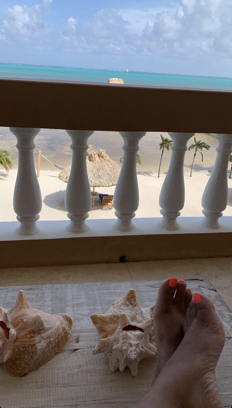 brittish williams feet 2