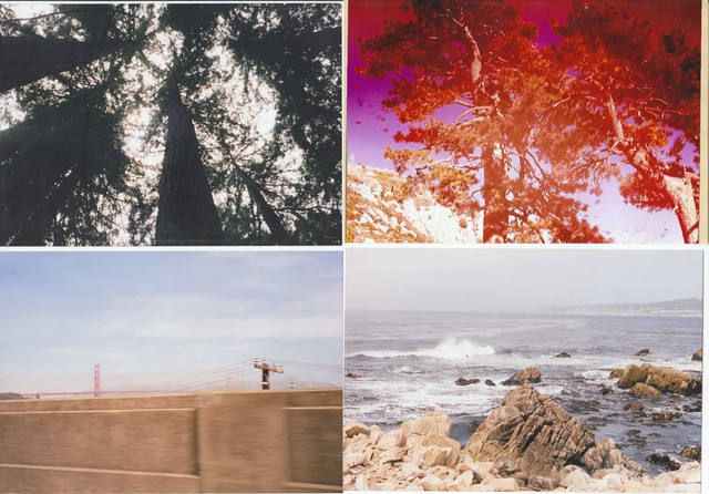 brooke brodack feet 4