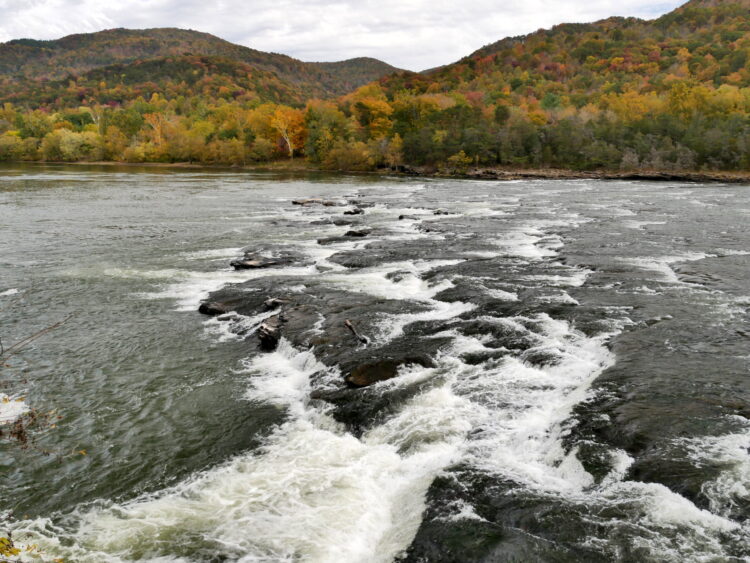 brooke falls feet 2 scaled