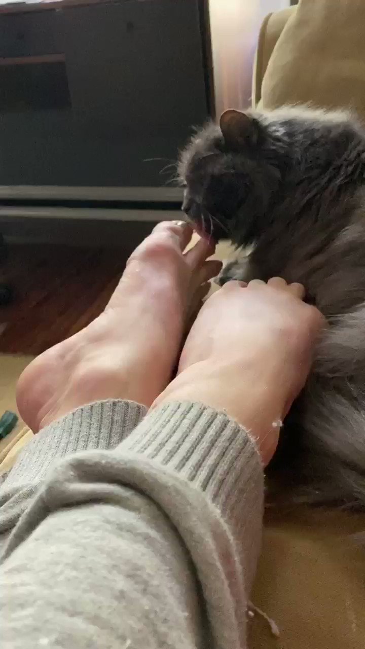 brooke lynn hytes feet