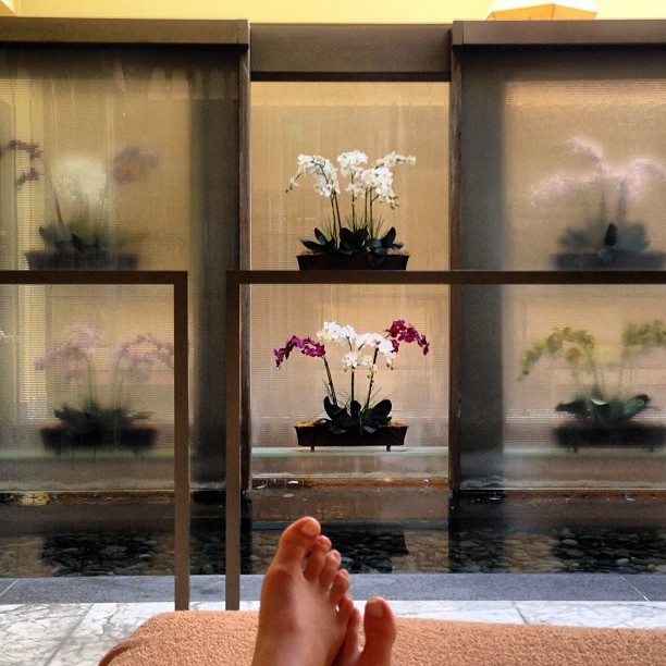 brooke wexler feet 6